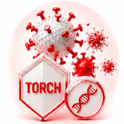 TORCHو .Herpes Vir