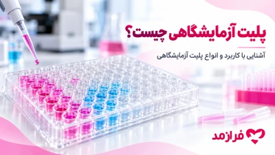  تصویر مطلب پلیت آزمایشگاهی چیست؟ معرفی انواع، کاربرد و تفاوت پلیت ۲ و ۳ خانه